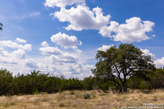 407 Dark Sky Path Property Photo 16