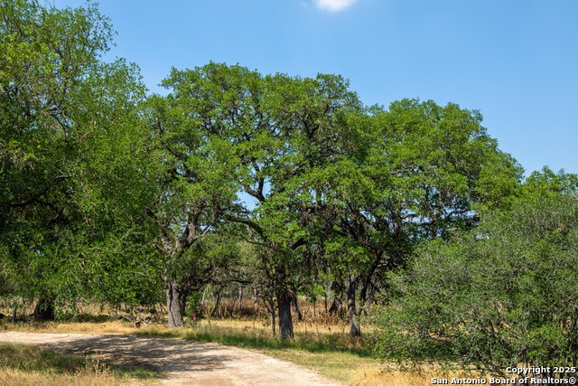 407 Dark Sky Path Property Photo 36