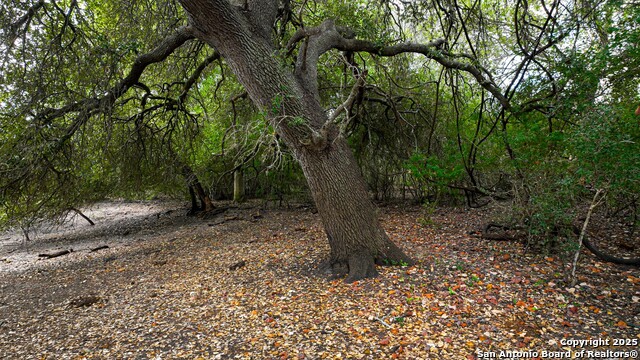 12937 Fm 743 Property Photo 5