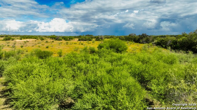 12937 Fm 743 Property Photo 18