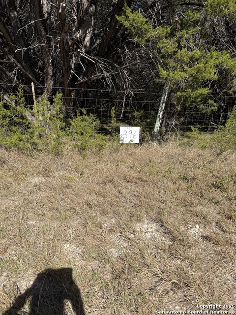 (lt) 396 Forest Trail Drive Property Photo 1