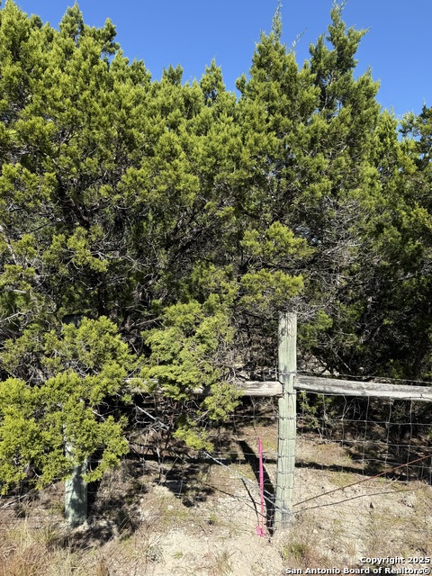 Lt 391 Forest Trail Drive Property Photo 3