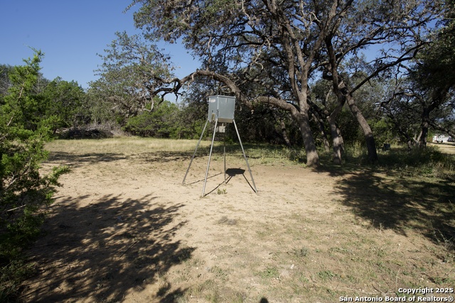 2215 County Road 389 Property Photo 41