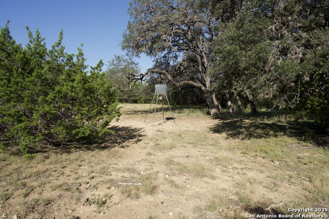 2215 County Road 389 Property Photo 43