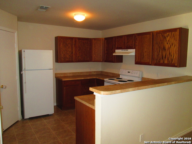 10003 Vasso View Property Photo 5