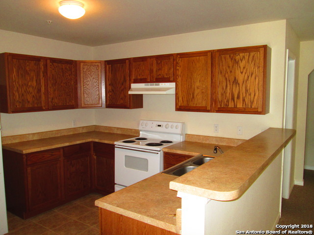 10003 Vasso View Property Photo 6