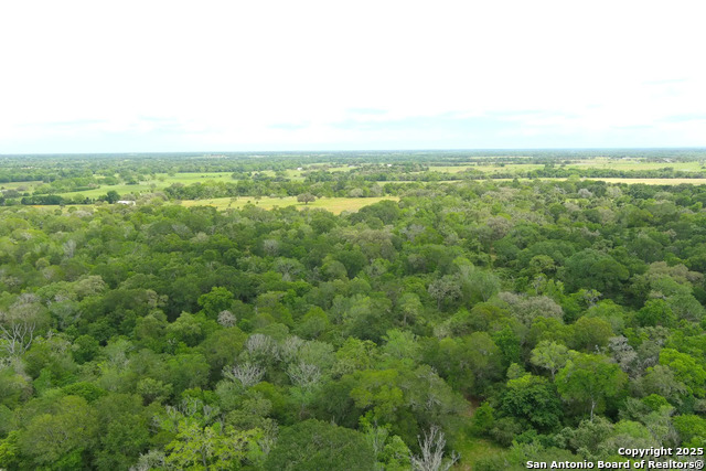 County Road 221 Property Photo 3