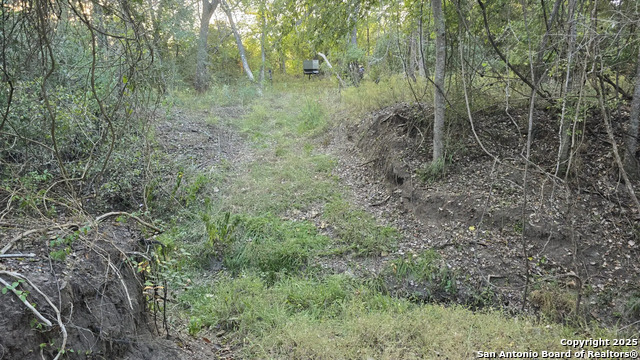 County Road 221 Property Photo 4