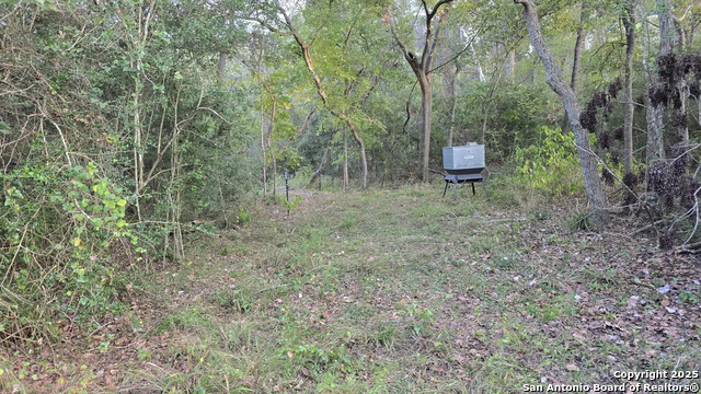 County Road 221 Property Photo 5