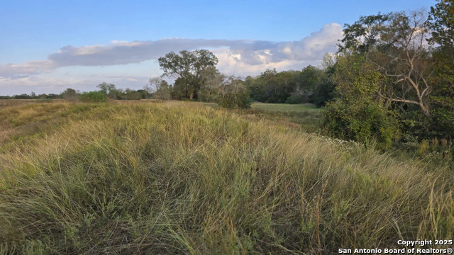 County Road 221 Property Photo 10