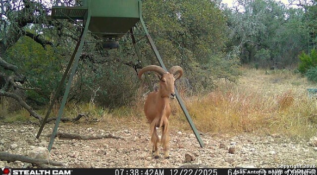 838 Fm 573 S Property Photo 5