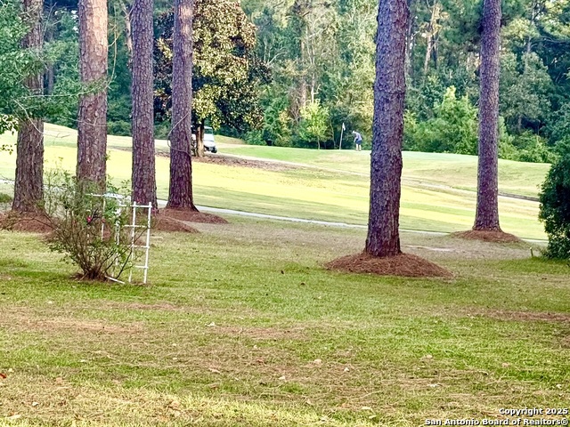 163 Pinehurst Property Photo 7