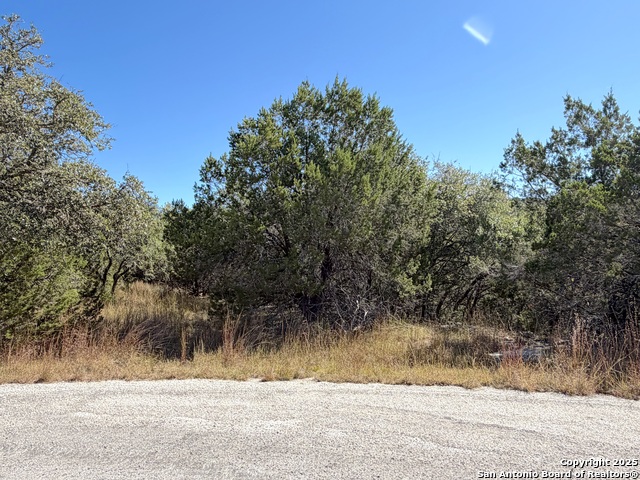 1031 Parton & 151 Reeves Property Photo 6