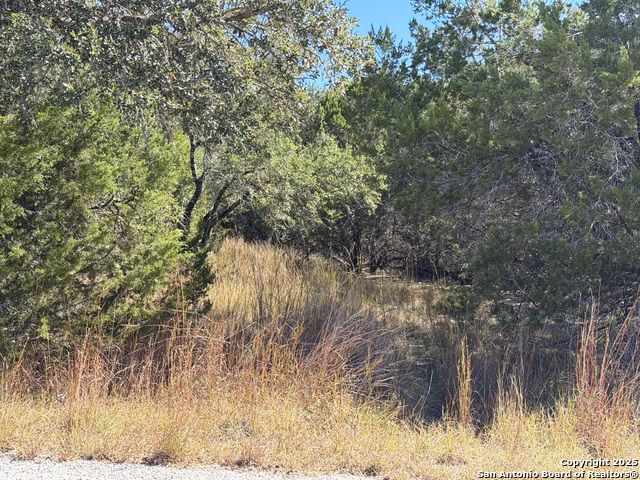 1031 Parton & 151 Reeves Property Photo 8