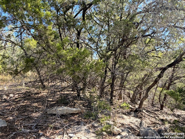 1031 Parton & 151 Reeves Property Photo 9