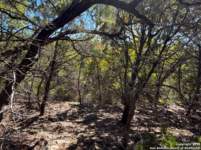 1031 Parton & 151 Reeves Property Photo 11