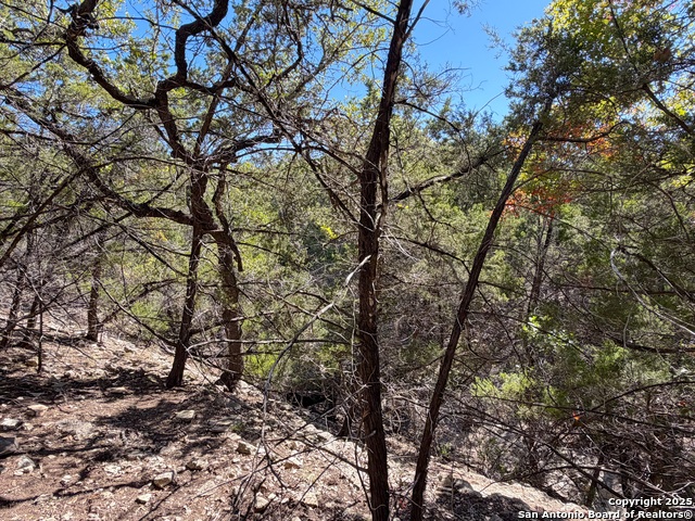 1031 Parton & 151 Reeves Property Photo 13