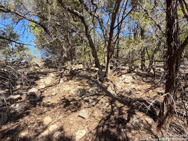 1031 Parton & 151 Reeves Property Photo 14
