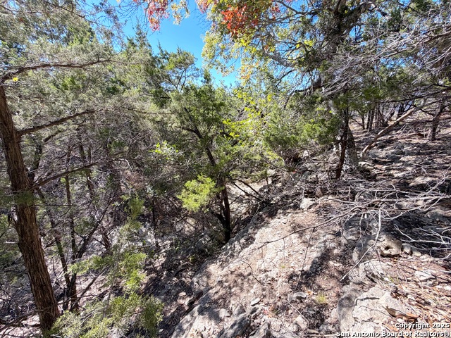 1031 Parton & 151 Reeves Property Photo 15