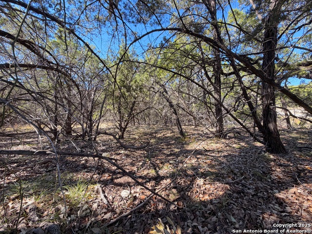 1031 Parton & 151 Reeves Property Photo 16