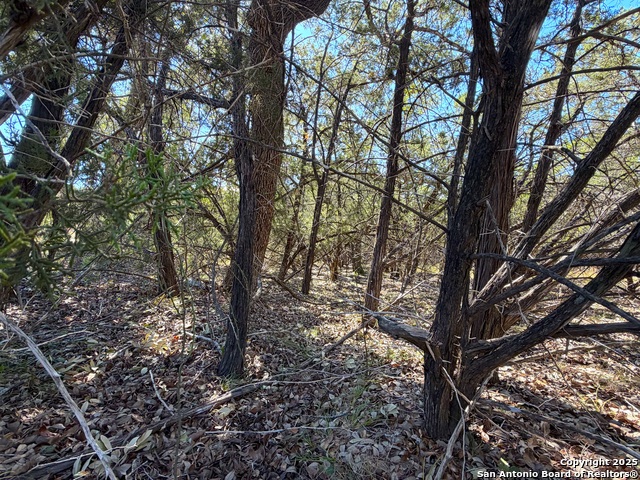 1031 Parton & 151 Reeves Property Photo 17