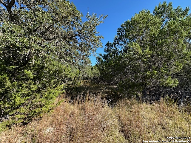 1031 Parton & 151 Reeves Property Photo 19