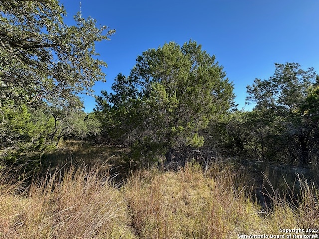 1031 Parton & 151 Reeves Property Photo 20