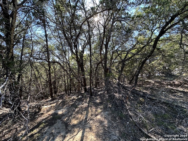 1031 Parton & 151 Reeves Property Photo 21