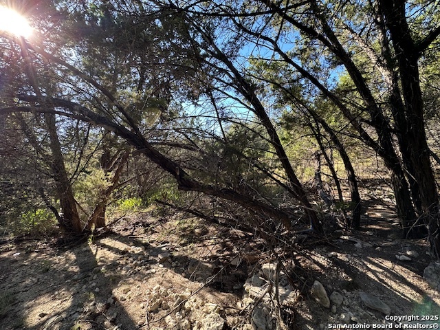1031 Parton & 151 Reeves Property Photo 23