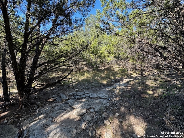1031 Parton & 151 Reeves Property Photo 24
