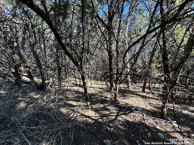 1031 Parton & 151 Reeves Property Photo 25