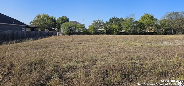 807 Toepperwein Property Photo 3