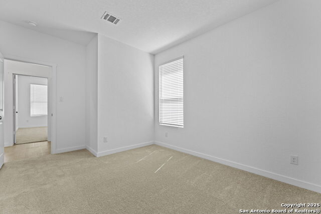 1221 Twisted Creek Property Photo 18