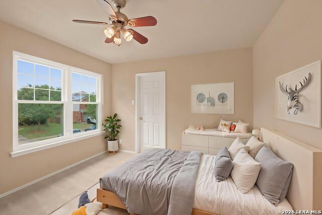 4806 Macey Trail Property Photo 7