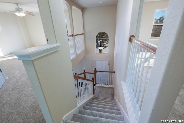 4806 Macey Trail Property Photo 18