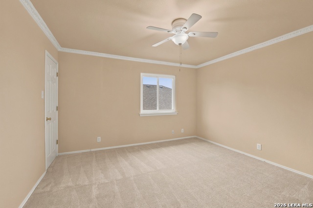 4806 Macey Trail Property Photo 26