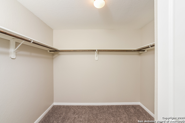 8022 Dovers Den Property Photo 5