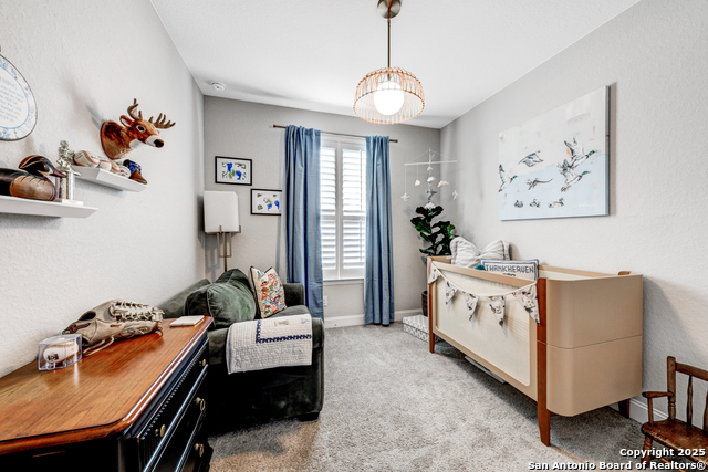 2217 Windswept Property Photo 18