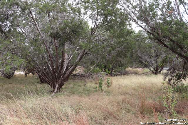 24 Quiet Meadow Cir Property Photo 1