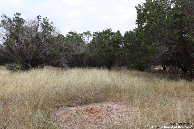24 Quiet Meadow Cir Property Photo 2