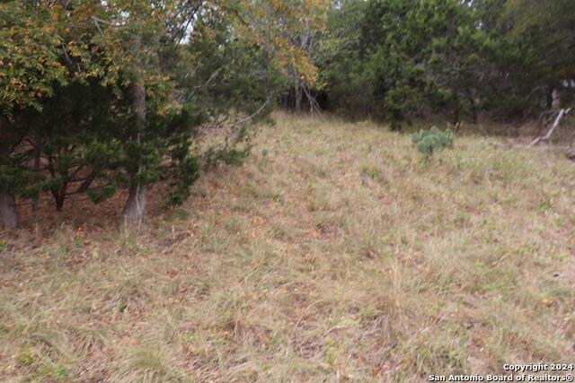 24 Quiet Meadow Cir Property Photo 5