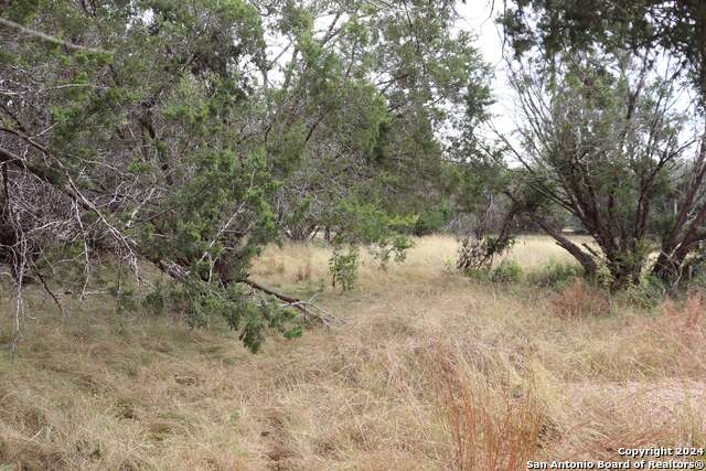 24 Quiet Meadow Cir Property Photo 14