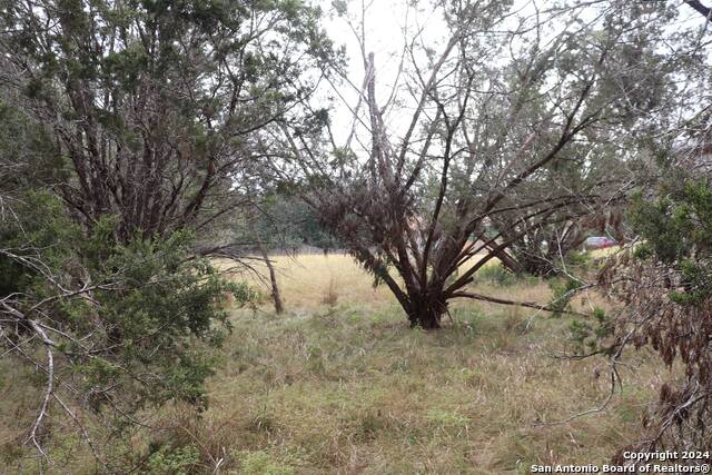 24 Quiet Meadow Cir Property Photo 15