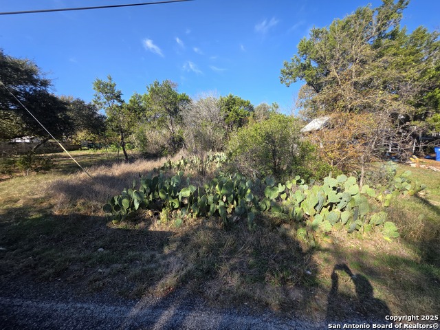 10906 3rd Property Photo 7