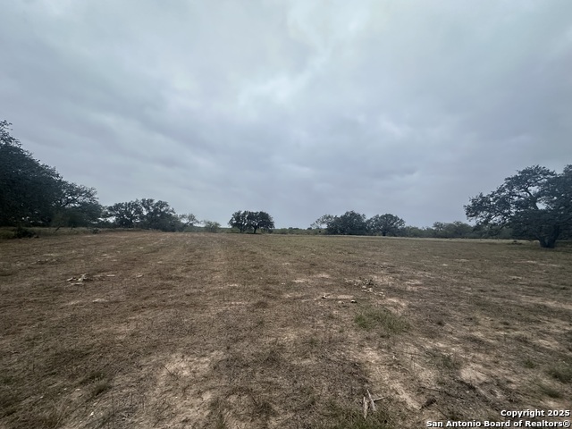 1150 County Road 765 Property Photo 18