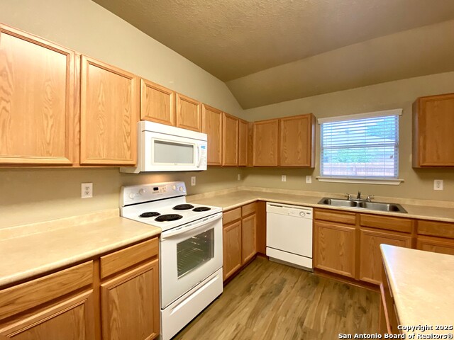 12647 Point Summit Property Photo 25