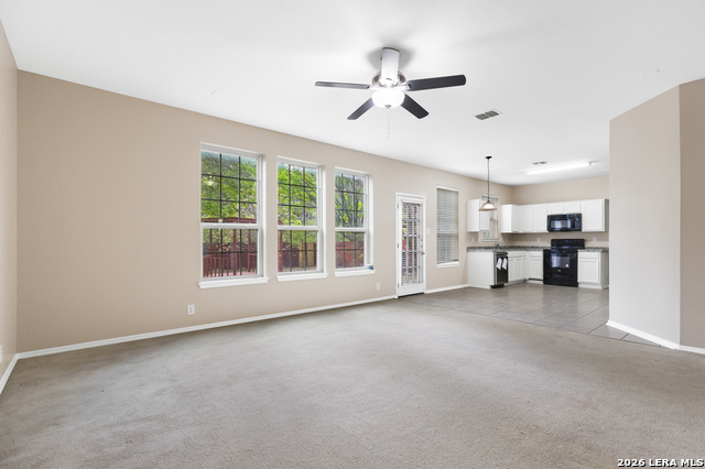 4914 Roan Brook Property Photo 8