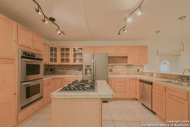 12605 Moss Hollow Property Photo 41