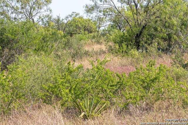 Tbd Pittman Rd Property Photo 5
