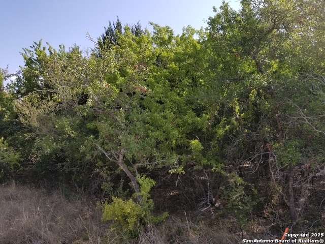 4734 Shady Property Photo 1